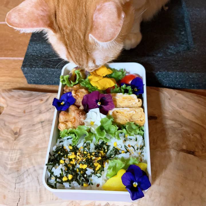 8f3e467c abd1 418a bf83 37fed19638e2 1673905565329