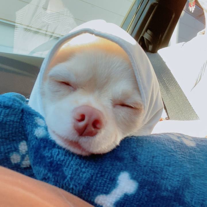 8f3e5199 aaf7 47cd b7ce 797d675b3c1b 1632136649683