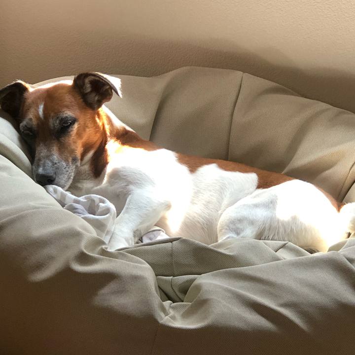 8f3e535a 1af8 488a b9f1 188da1afaae2 1599087552625