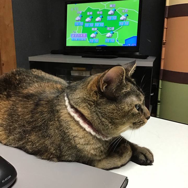 8f3e6f6e f13f 480f a146 236ca9438380 1694005044150