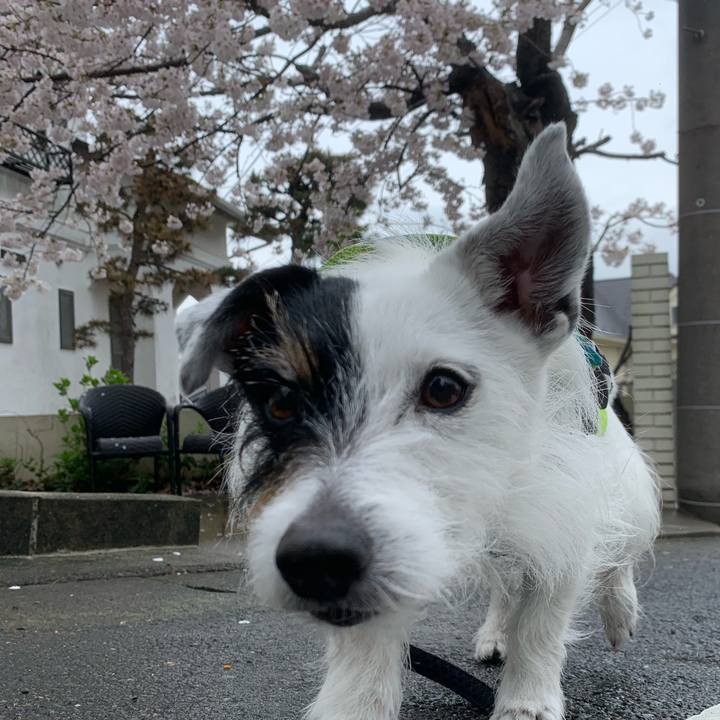 8f3e8216 907a 4c3a b18b 73b5c352d108 1743647983528