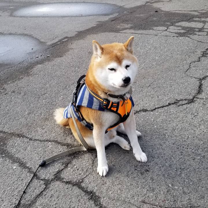 8f3eea96 21e6 4f6a 95ac 25c1471c34f1 1637898593399