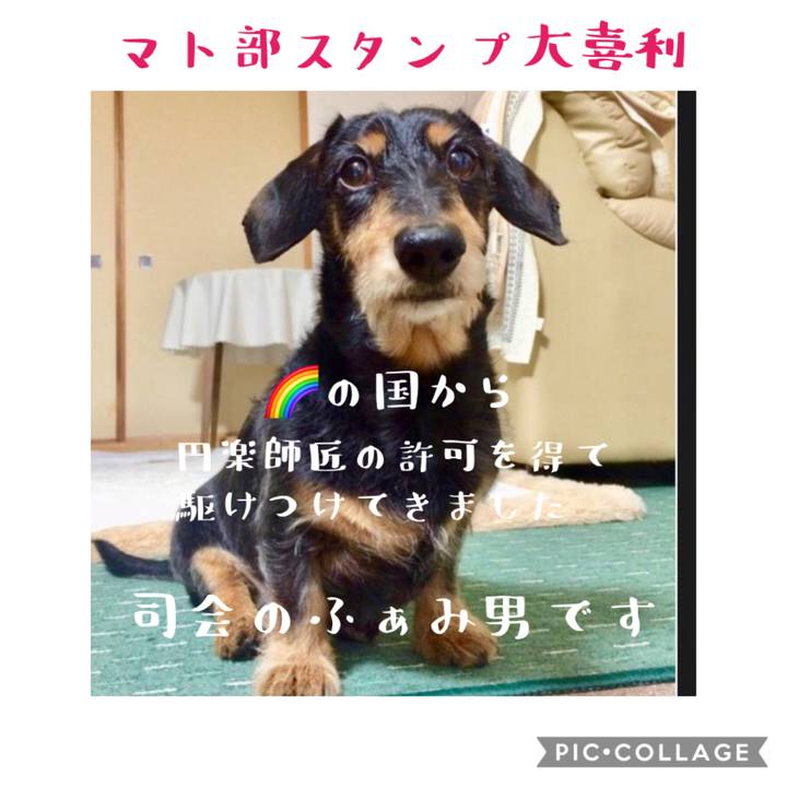 8f3f0e5f d320 464a a9eb 67306b3c0cb4 1578409452729