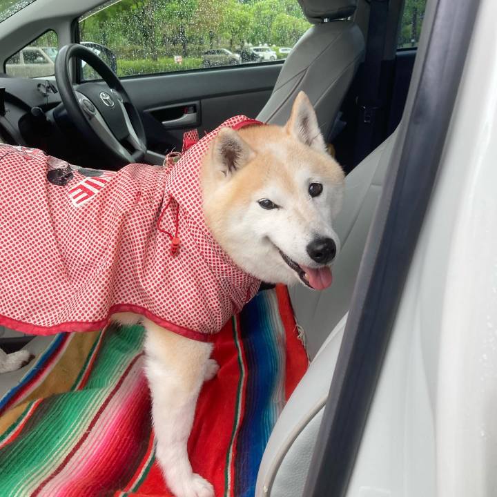 8f3f3d53 a2c7 4878 aae0 41796a1b8df4 1667485040675