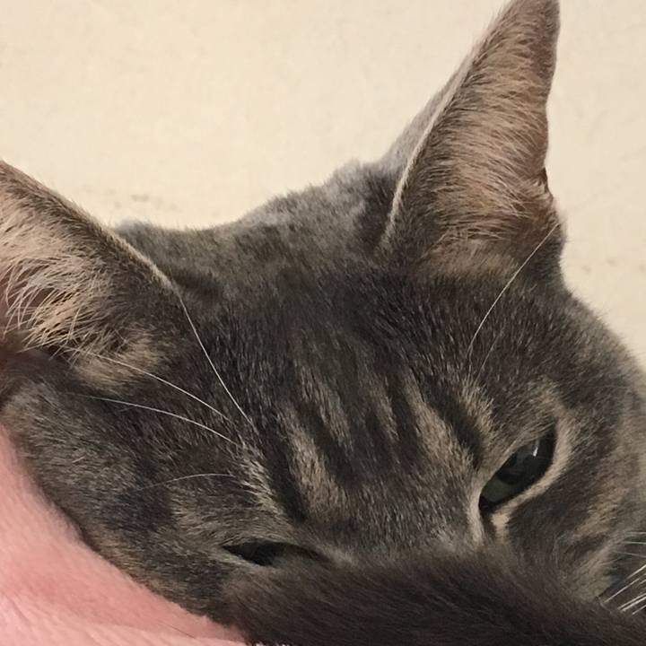 8f3f4736 0ea8 43fd 9b20 27bd3ddf1c99 1515195343457