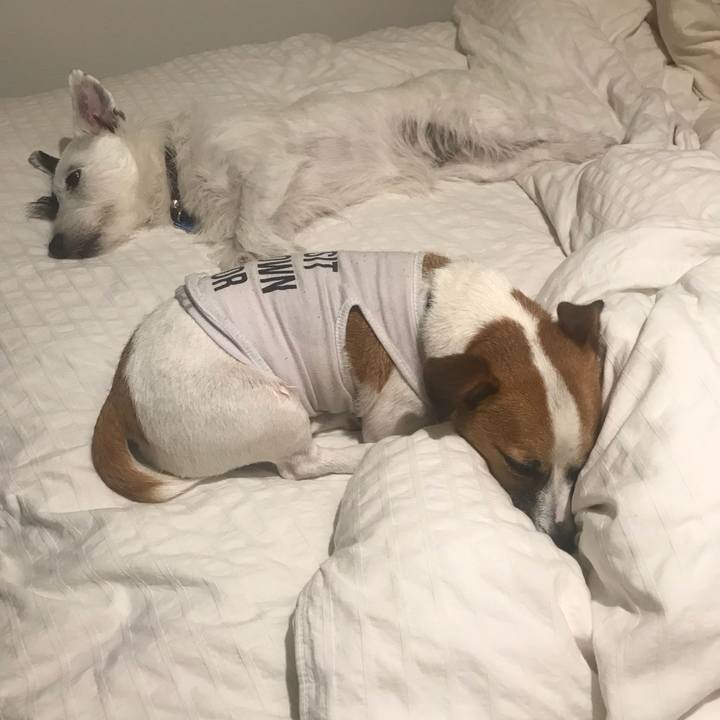 8f3f5e73 2b61 4ea1 8886 cd25f675b5e3 1533049553860