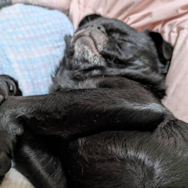 8f3f9ff7 92ee 4315 9ead d00be2ab092f 1774964881997