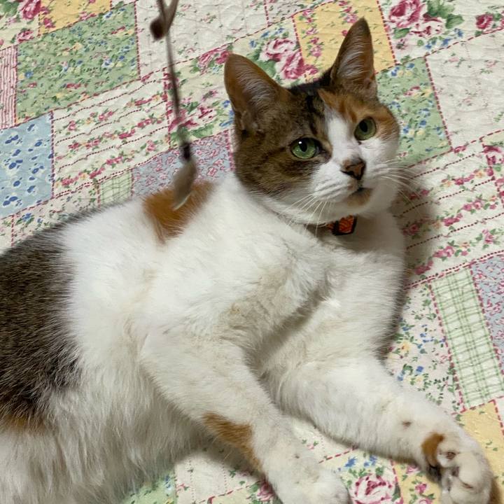 8f3fd61e 70f9 4a7d b95d 1c9fc193b13a 1646299869524