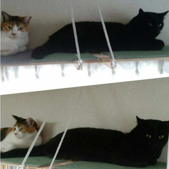 8f400156 a00d 40a4 b3a6 75084a4d4ead 1510284171320