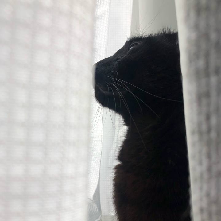 8f408e30 6a09 4bab 8ff6 5ed50aebceb9 1617841334587