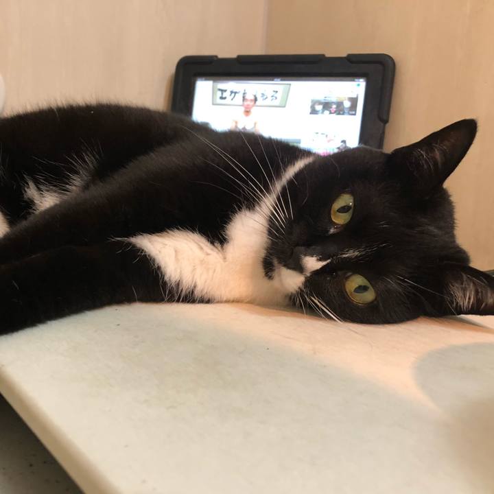 8f412761 35f7 4f59 9e3d 59885324b5a7 1582752794851