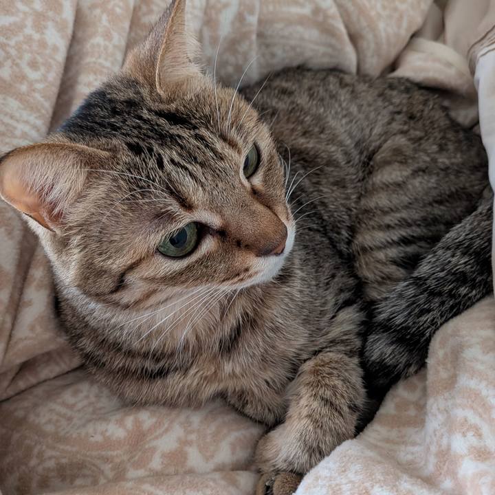 8f414aaa b37e 47dd 97ce 055200efd10d 1772979510038