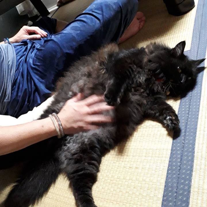 8f4172fc 454b 4186 83dc 4ad31d0c69d8 1563201859594