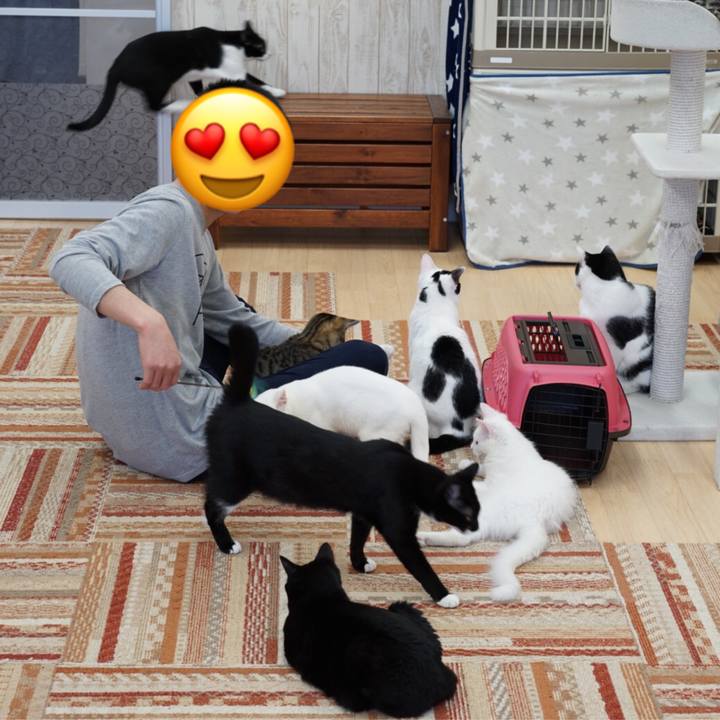 8f417dea 4e77 482c a225 b1c8e59a67ae 1552115988775