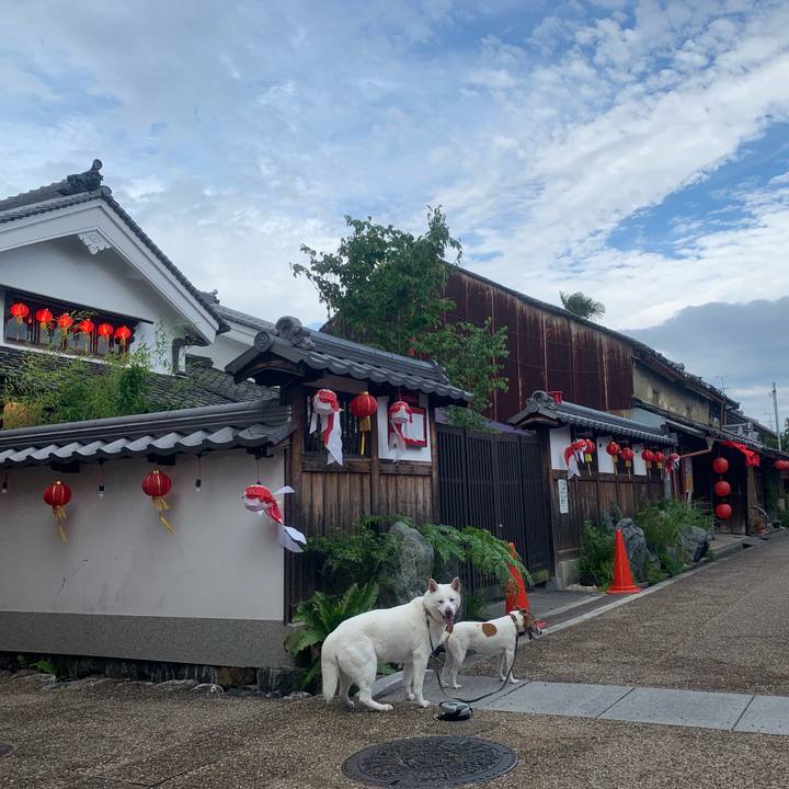 8f41ed50 cb8c 4e60 94ed 5ccab4474ae7 1561854048754