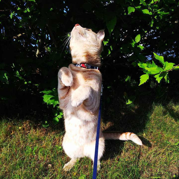 8f421a5c 189b 4684 b381 58e85a8aa8db 1564699527240