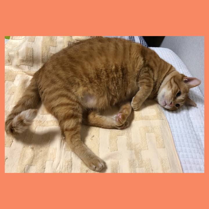 8f42661a 50e8 4a3e 9494 7e35eedc69d5 1593086811112