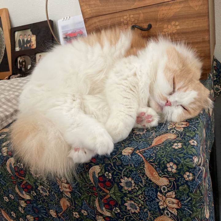 8f42722b 64b1 44c5 b21d 24d6dab3ec54 1633005659032