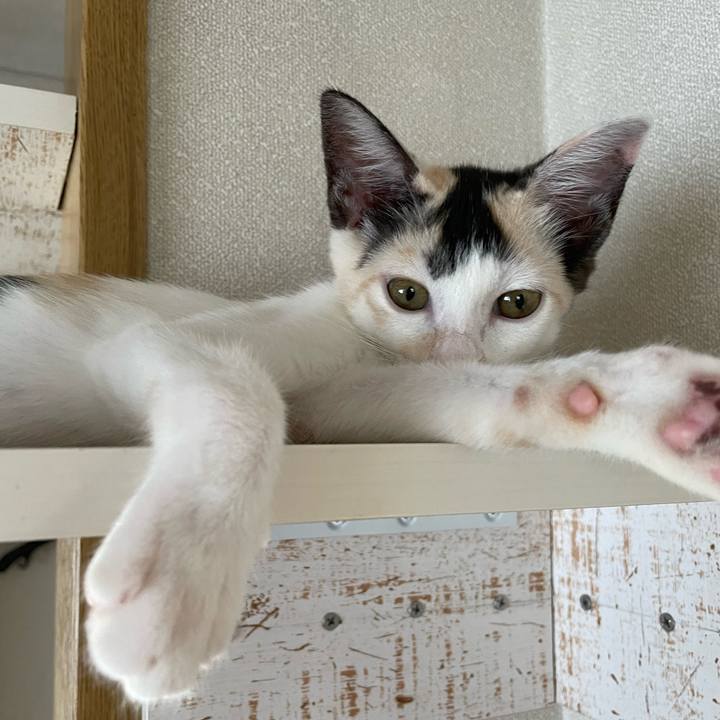 8f4296c9 2dd9 4867 9142 72fe670ee1e3 1659497596822