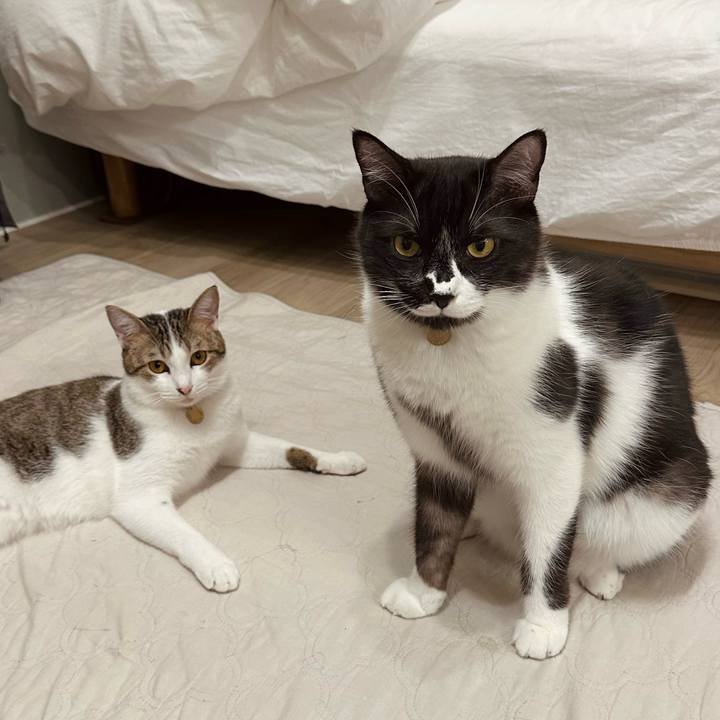 8f42aa41 54b5 4195 8b67 c88f0f4c98a3 1760958847125