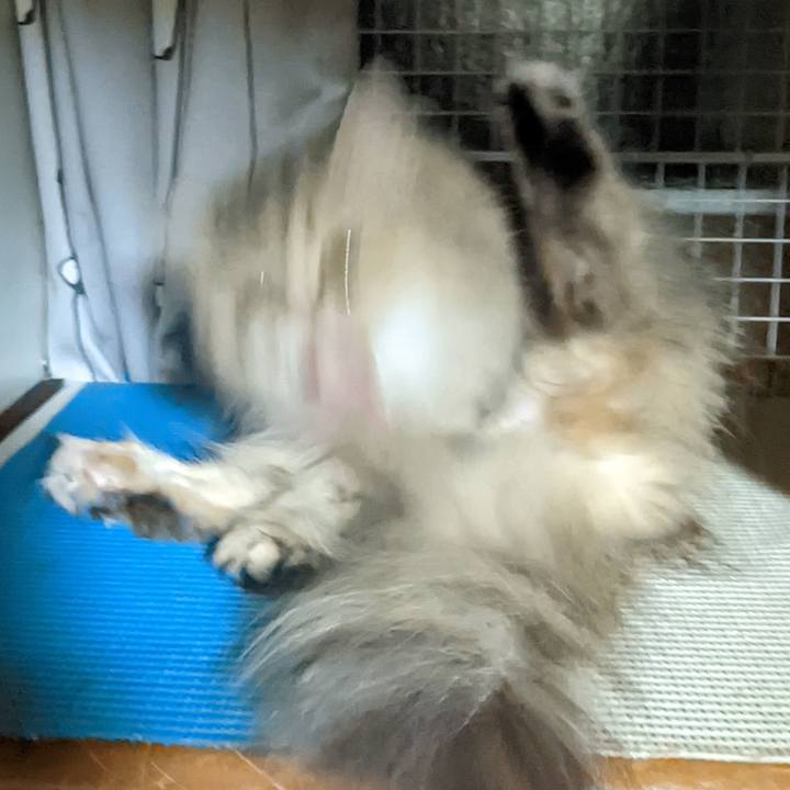 8f42c1d4 8ee2 4a76 85ce ca3d6f19af1f 1657583843667