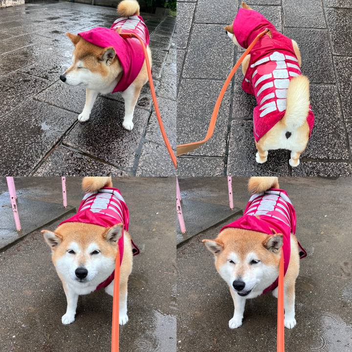 8f42e2de 617d 49de b0f3 4aaf9ae1981a 1684826460979