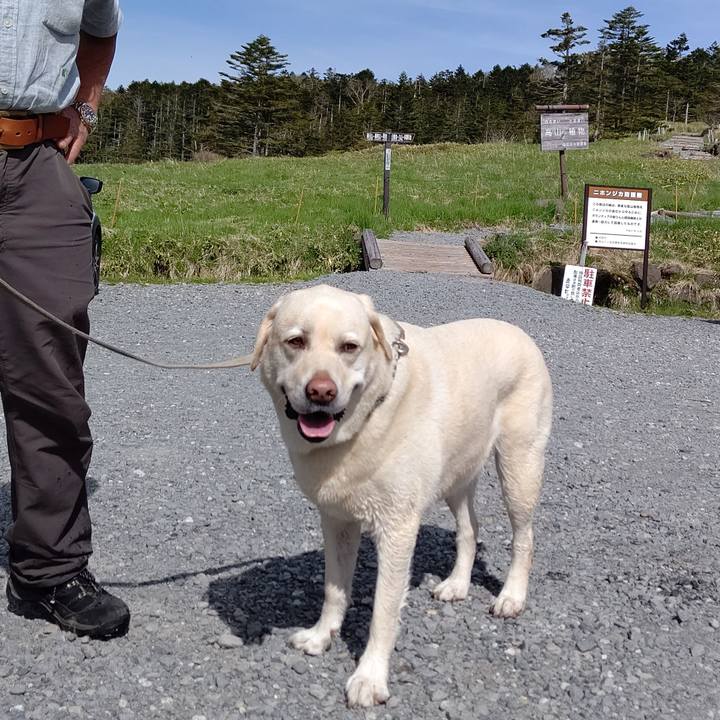 8f42ff4a fa80 4cb1 aa8b 2dbff1054c8a 1655125773900