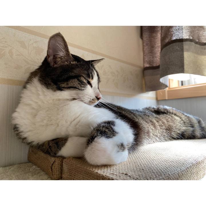 8f435347 68fa 4247 b399 2b7c2d918c87 1663967461606