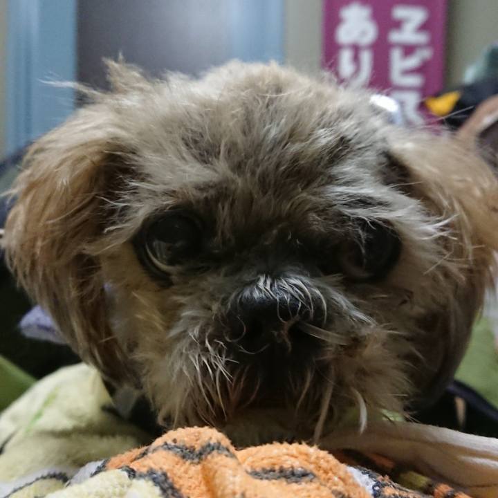 8f435bd8 826c 43c9 978a 2aa6defe8c47 1557978151189