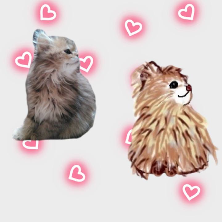 8f43b630 1a3b 4de7 b8c8 348ff798cbc4 1644719889949