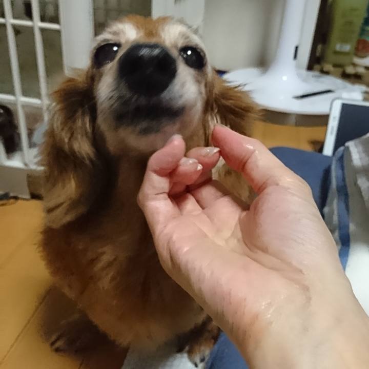 8f43b9ec cd12 4afa 8a17 e954a5018a93 1585761947745