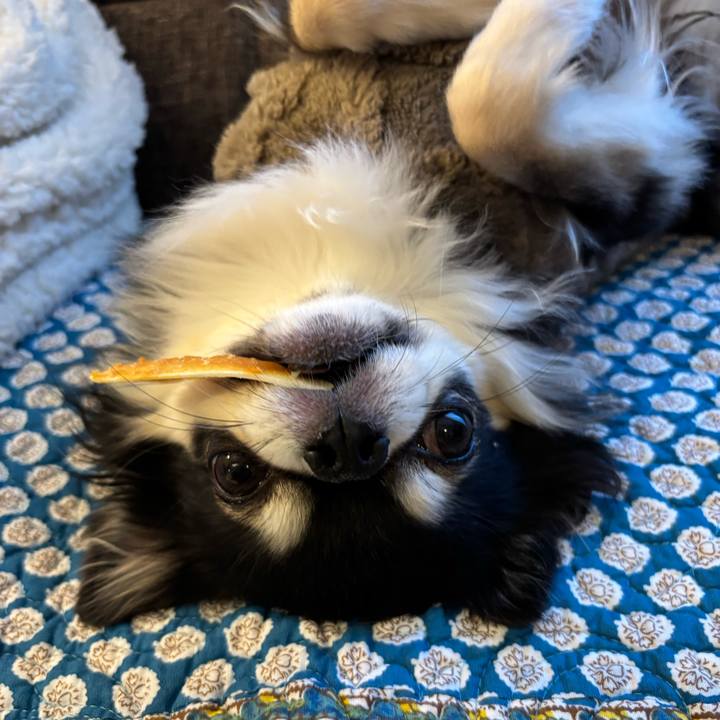 8f442a6e a29c 488e b854 19e249e64ff1 1765125469421