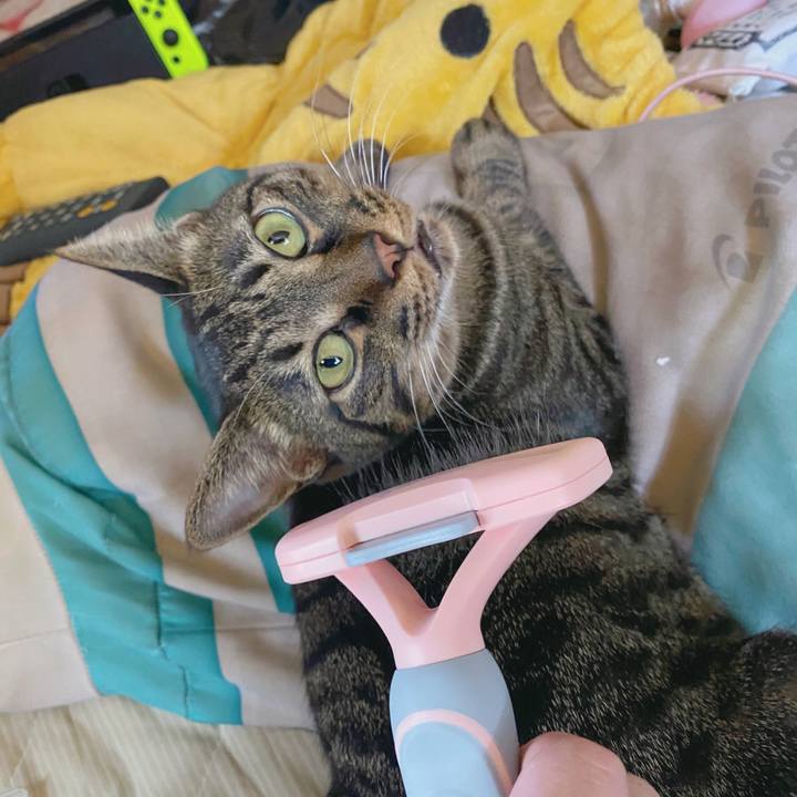 8f44380a 5b78 4fbd 9d85 7098daa7d0ad 1593750465938