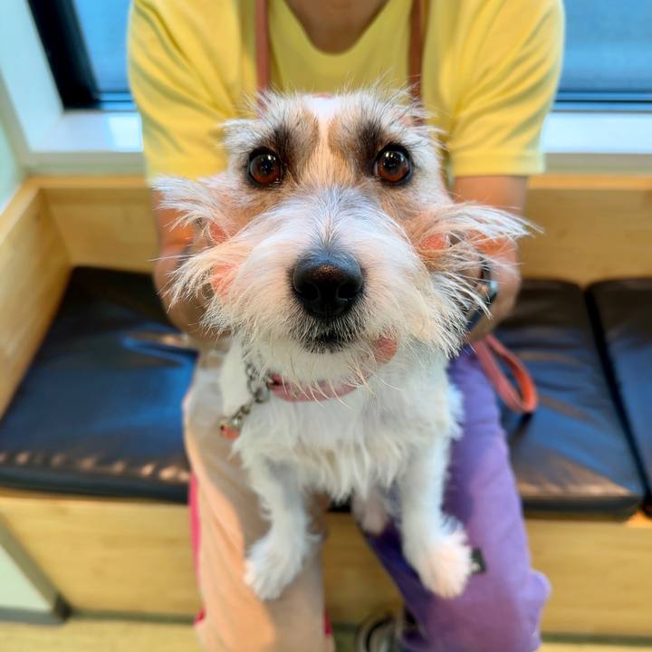 8f443b41 f8b3 4a0b b08d f4cb0fc9ae56 1693216424665