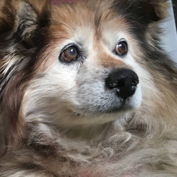 8f447055 2dc8 4a01 a836 f3dab84b719e 1612919817259