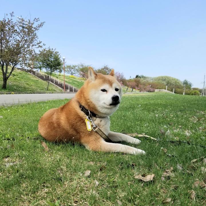 8f447140 0c05 413e b64a 1211f88c1453 1651116441388