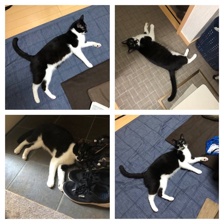 8f447964 7a6e 44de 8877 1dd4fdc843e3 1564172328499