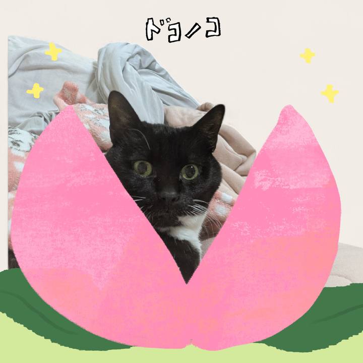 8f447aa5 8f85 4b20 a688 7d797f5bd5c2 1771856352571