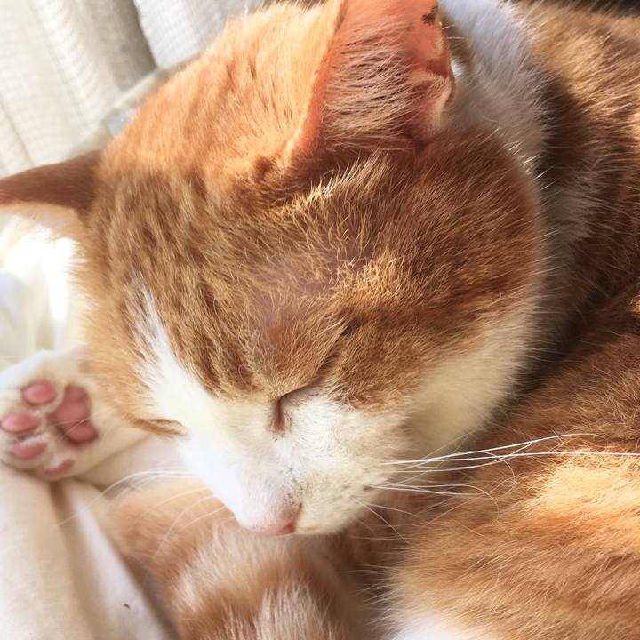 8f449c1d 081d 4310 9406 a199230ede4d 1555797644502