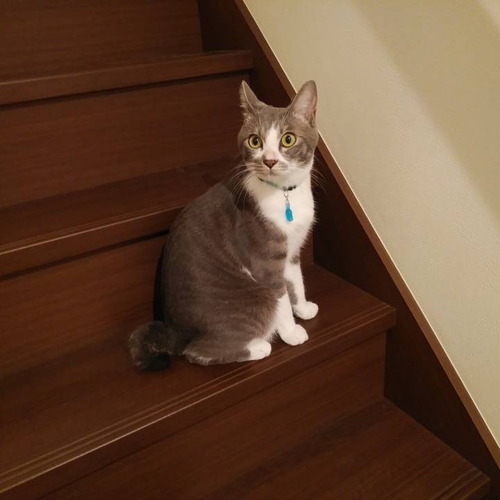 8f44d831 a9b5 4e58 9a7e a91cbddc9f83 1594563349922