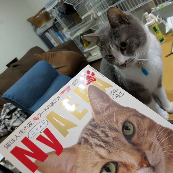 8f450500 845e 453f ae7f 68a0b13b3176 1741175894481