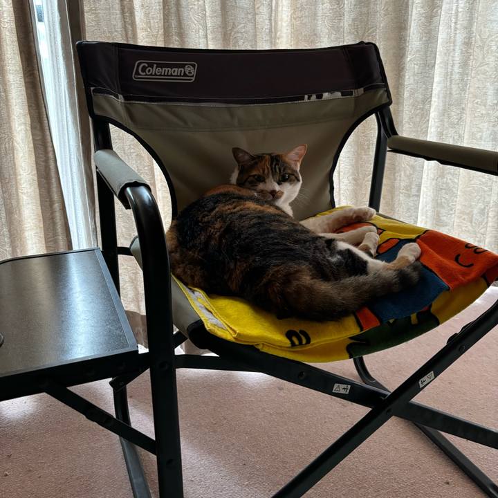 8f45098d 6ee1 4b8e 9e13 dd9e65148005 1720574509903