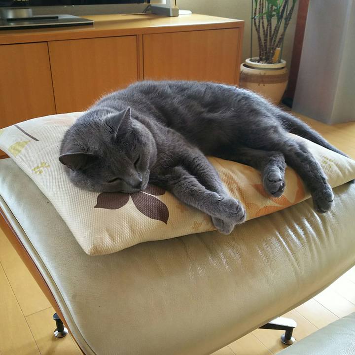 8f45136d 0e21 45e2 bb25 18cac11b6d8d 1531374086622