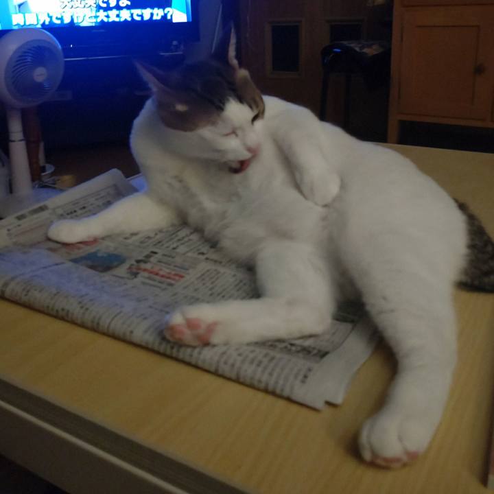 8f453517 9709 4b1e a60b 4c7b8e04acd5 1726573546482