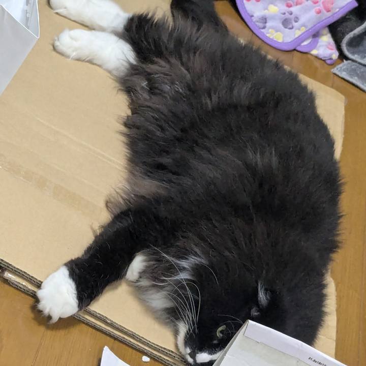 8f457704 aabb 4a4a 98bc 608c8d8e7e9f 1753352413734