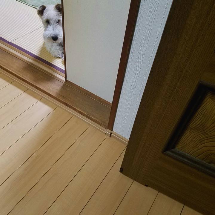 8f45824a e5c7 4c9c b1be 633262e900ca 1558997889024