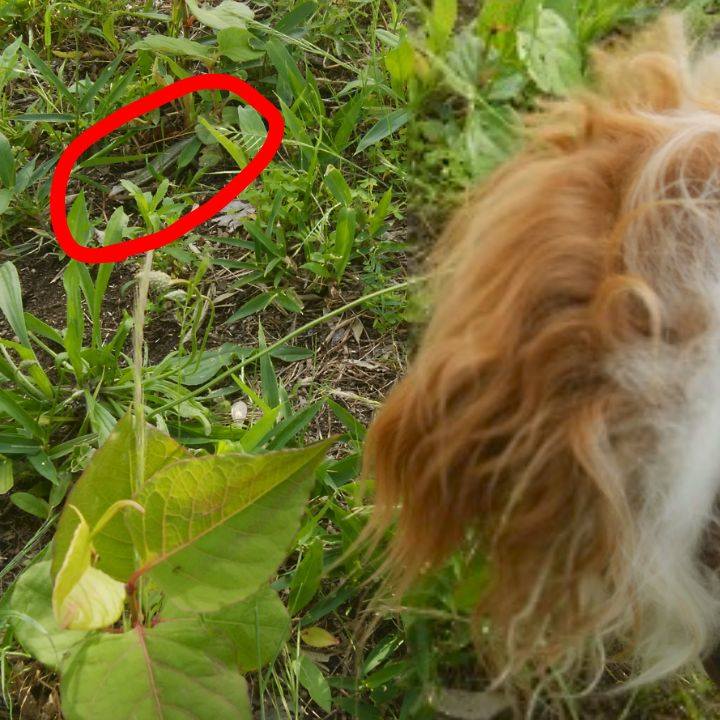 8f45bda6 c72f 4db3 8add 342122ecc9d0 1559130103041