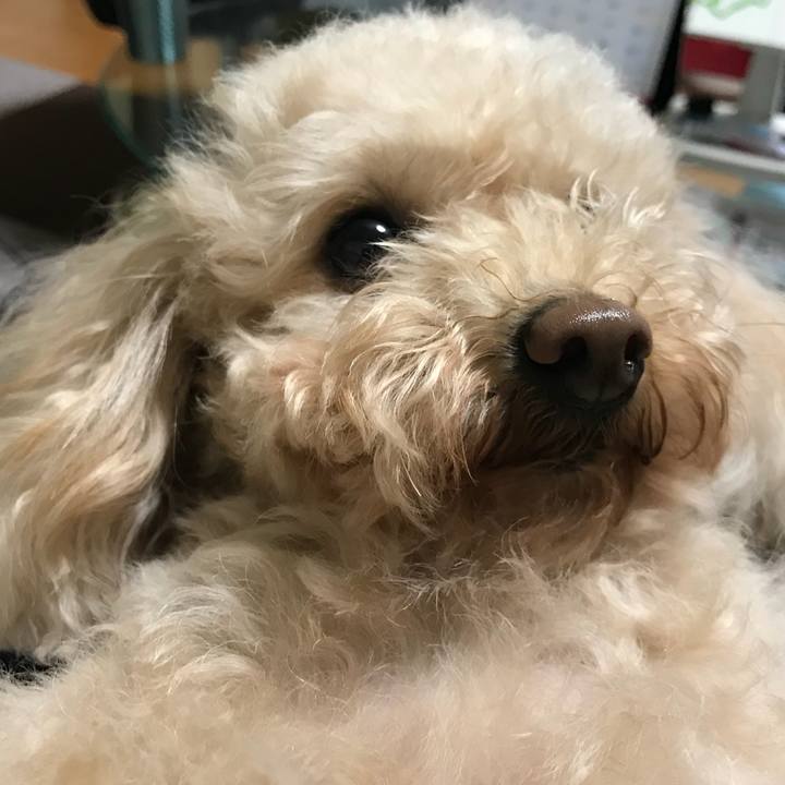 8f45bf08 cfd9 473e bd98 59fa3e39b8e6 1520773774628