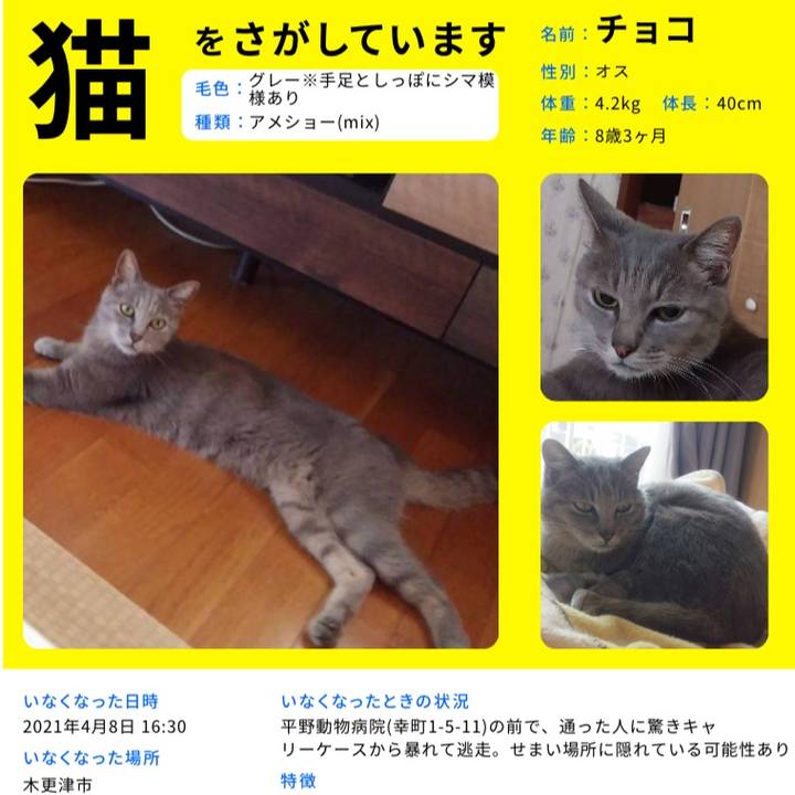 8f46117d 343f 43ff 9b84 a7f875c65c27 1635421748449