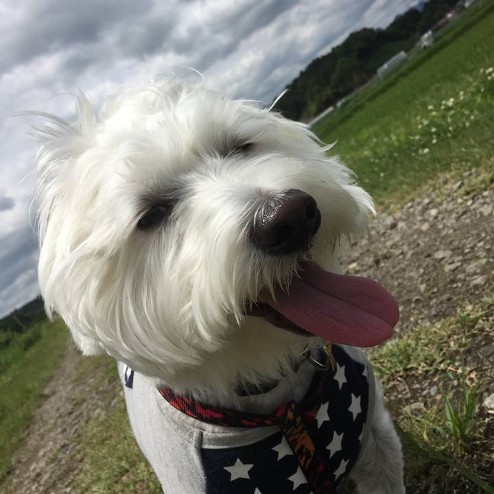 8f463be4 4b32 4640 b5e8 0c1c7f25e275 1573837916094